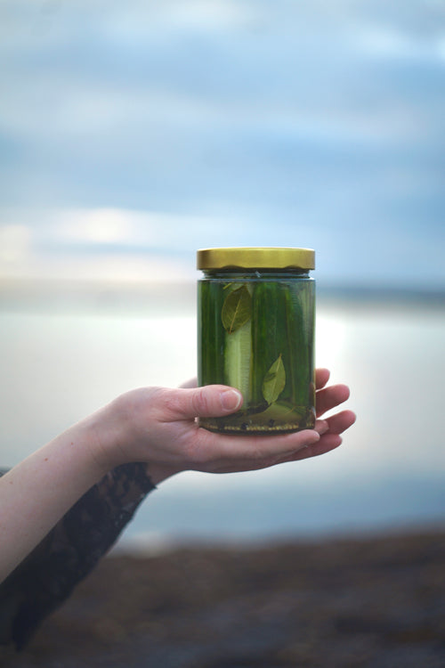 Garlic and dill pickled cucumbers